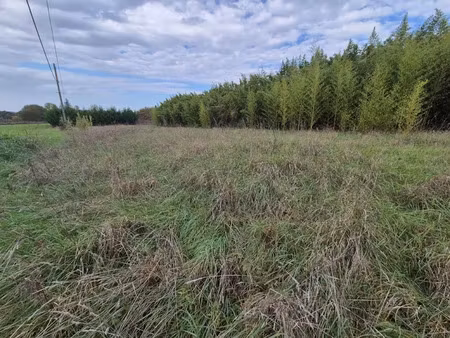 vente terrain 1607 m² à garidech (31380)  159 500 €