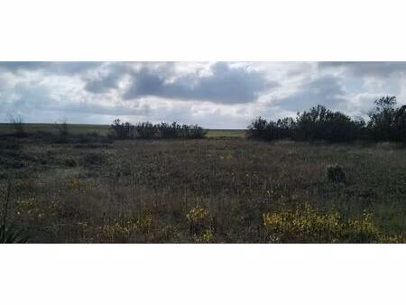 terrain - 2522m ²
