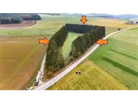 beau grand terrain arboré en zone agricole à ortho!