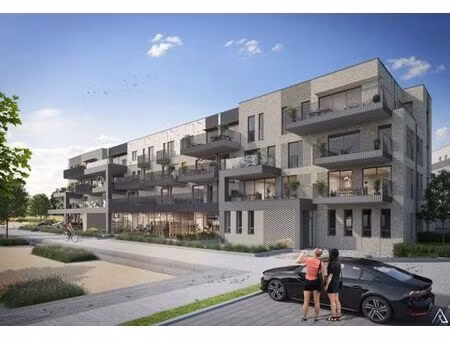 profession libérale au sein du projet « terra nostra »