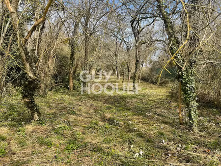 secteur coubert - terrain constructible