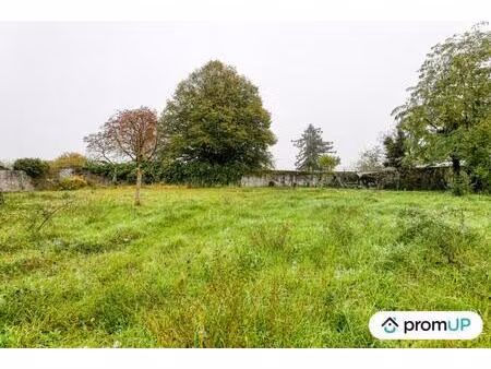 vente terrain 1510 m² chinon (37500)