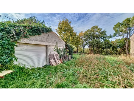 terrain constructible arbore