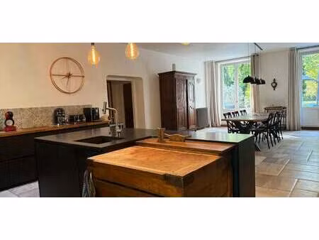 propriété avec piscine et jardin mallemort (13)