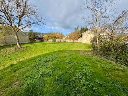 vente maison 300 m² charmois-l'orgueilleux (88270)