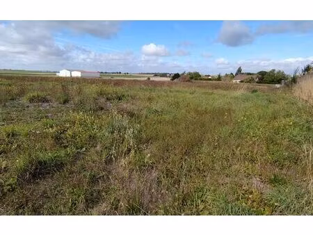 terrain thibie m² t- à vendre  41 500 €