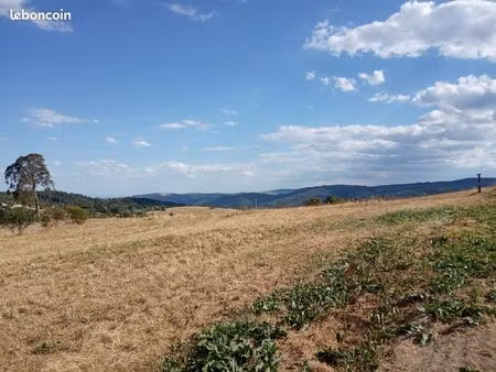 terrain constructible