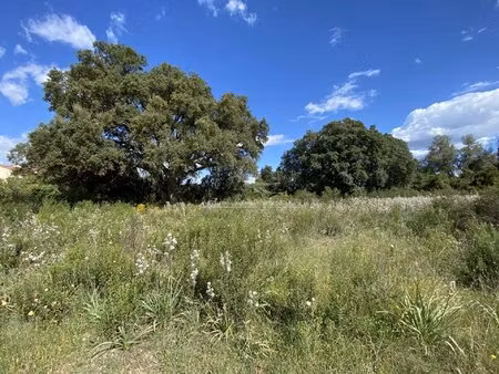 terrain 900m² - ghisonaccia