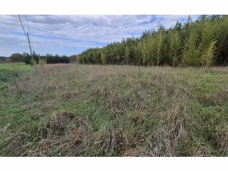 terrain garidech m² t- à vendre  159 500 €