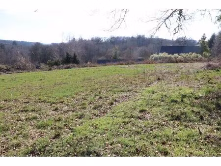 correze. proche de neuvic. a 250m du lac de la triouzoune  un terrain constructible de 268