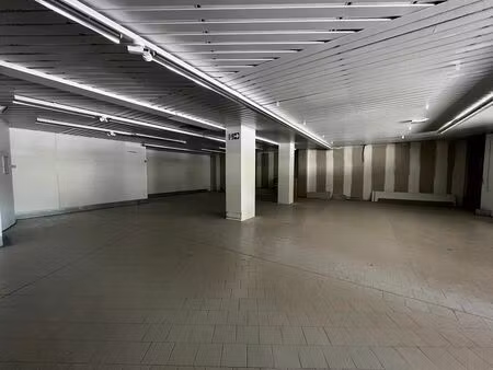 location commerce 340 m² à isle (87170)