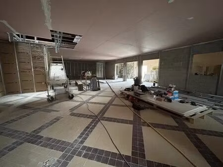 vente commerce 216 m² le palais-sur-vienne (87410)