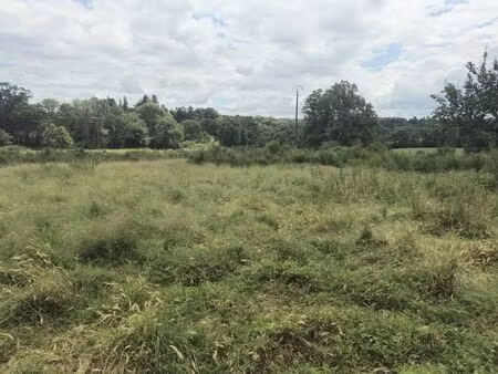 vente terrain 20000 m² aureil (87220)