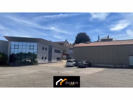 ensemble immobilier à vendre en exclusivité - sarrebourg