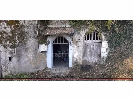 vente locaux professionnels 80 m² à la chartre-sur-le-loir (72340)  18 000 €