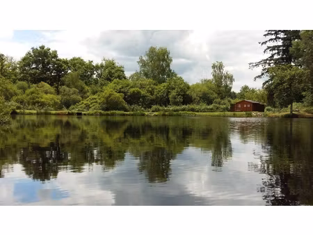 haute vienne - très rare opportunité pavillon avec un grand étang isolé