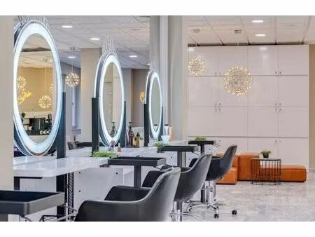 vente commerce 80 m² le palais-sur-vienne (87410)