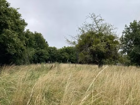 vente terrain 1467 m² magnac-bourg (87380)