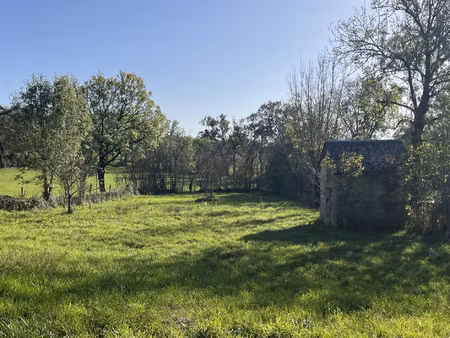 terrain constructible