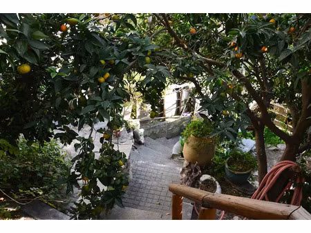 vente maison 5 pièces 87 m² à luri (20228)  245 000 €