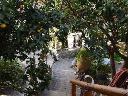 vente maison 5 pièces 87 m² à luri (20228)  247 000 €