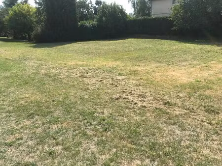 exclusivite : boulogne-sur-gesse