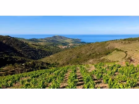 vente terrain 48000 m² à port-vendres (66660)  48 000 €