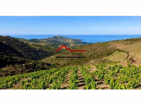 vente terrain à port-vendres (66660)  35 000 €