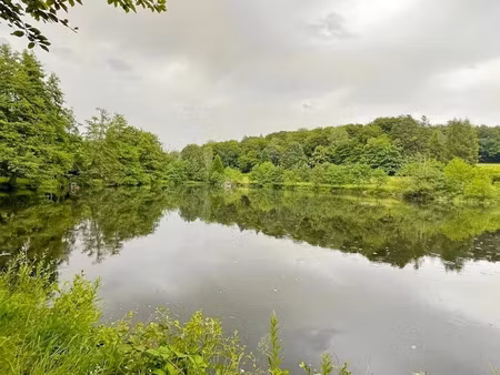 vente terrain 145500 m² à brassy (58140)  169 000 €