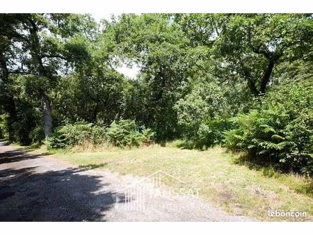 terrain 1155 m² lanton
