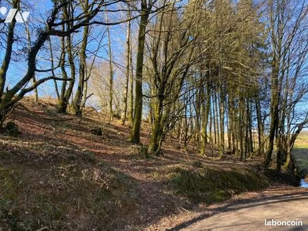 terrain 1100 m² chaulieu