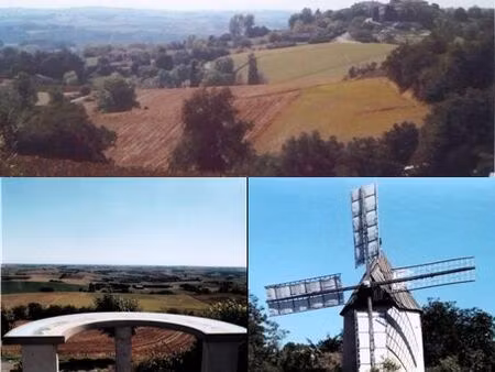 terrain constructible  viabilisé  3586 m² - brignemont