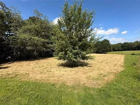 valdel immo a vendu ! compromis en cours !