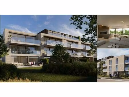 penthouse à vendre à baptist de donderstraat meise (rwc37377)