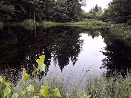 vente commerce 9200 m² faucogney-et-la-mer (70310)