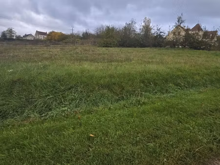 vente terrain à bâtir 1 335 m²