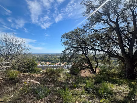 lucciana - terrain constructible - 1600m2