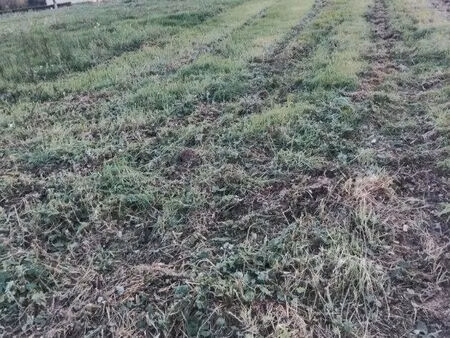 terrain constructible 4964 m2