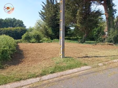 vente terrain 498 m² burie (17770)