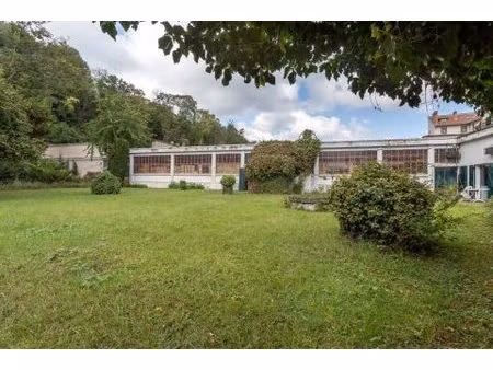 entrepôt sur les quais de saône  à rénover  avec jardin privatif et grande cave