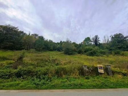 groupe arcade: terrain en zone verte