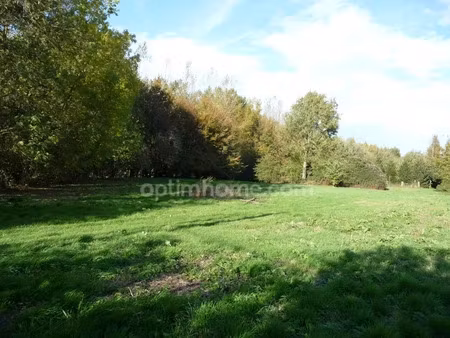 vente terrain 3000 m² à febvin-palfart (62960)  45 000 €