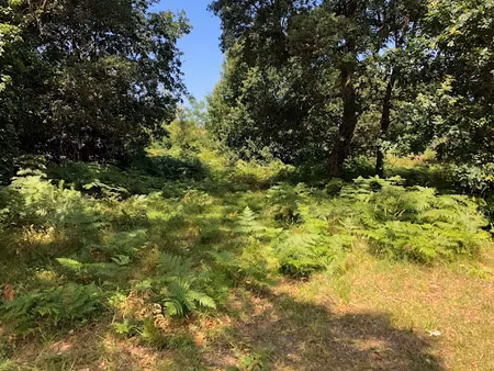 vente terrain 500 m² à labenne (40530)  270 000 €