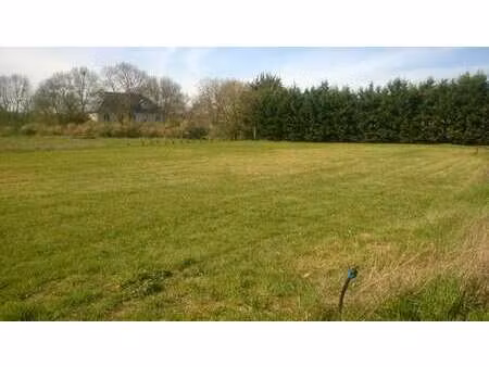 vente terrain à la pommeraye (49620) : à vendre / la pommeraye