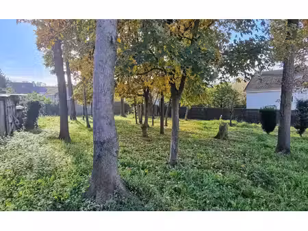 terrain varennes-jarcy m² t- à vendre  254 000 €