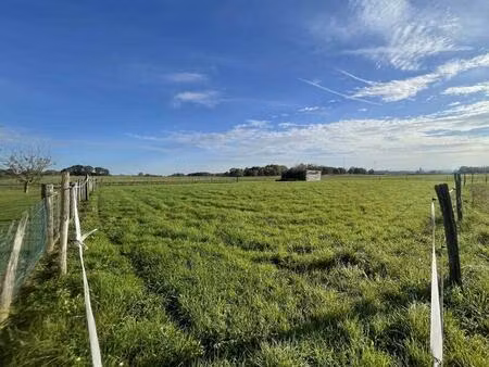 terrain constructible sud de tournus