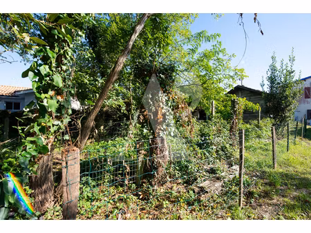 annonce terrain à vendre
