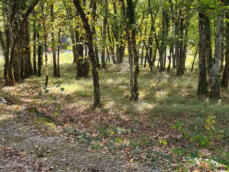 terrain à bâtir chartrier ferriere