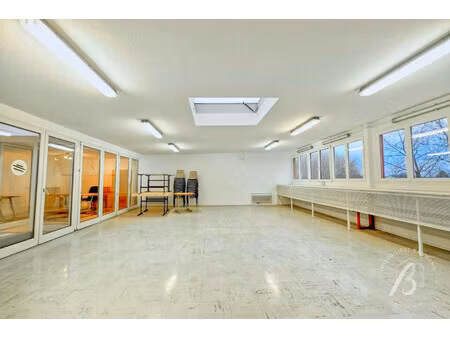 immobilier professionnel à louer duttlenheim