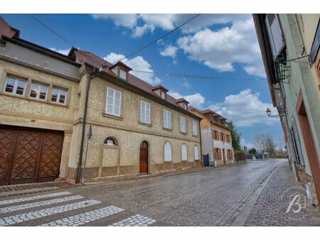 immobilier professionnel à louer molsheim